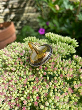 Load image into Gallery viewer, Gobstopper Antique Carnelian Intaglio Seal Ring