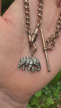 Load and play video in Gallery viewer, c. 1910 Edwardian Paste Elephant Pendant