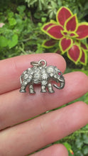 Load and play video in Gallery viewer, c. 1910 Edwardian Paste Elephant Pendant