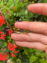 Load image into Gallery viewer, Early Victorian 15ct Gold Turquoise Forget Me Not Ring
