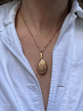 Load image into Gallery viewer, Victorian Mandoline &amp; Compass Pendant
